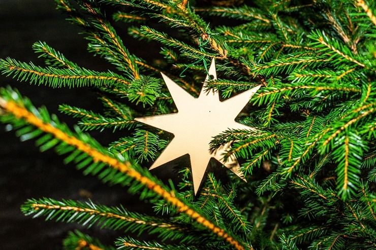 Daugavpils «Sapņu galaktikas» galvenā Ziemassvētku egle ir viena no skaistākajām Latvijā. Foto: Margarita Vigule 382216