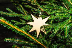 Daugavpils «Sapņu galaktikas» galvenā Ziemassvētku egle ir viena no skaistākajām Latvijā. Foto: Margarita Vigule 11