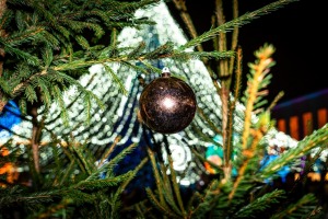 Daugavpils «Sapņu galaktikas» galvenā Ziemassvētku egle ir viena no skaistākajām Latvijā. Foto: Margarita Vigule 17