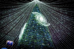 Daugavpils «Sapņu galaktikas» galvenā Ziemassvētku egle ir viena no skaistākajām Latvijā. Foto: Margarita Vigule 8