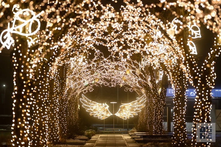 Ogres novadā iemirdzas Ziemassvētku rotājumi un svētku egles 382266