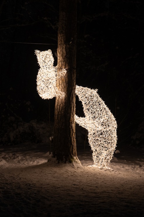 Ogres novadā iemirdzas Ziemassvētku rotājumi un svētku egles 382273