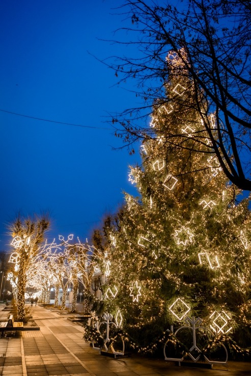 Ogres novadā iemirdzas Ziemassvētku rotājumi un svētku egles 382250