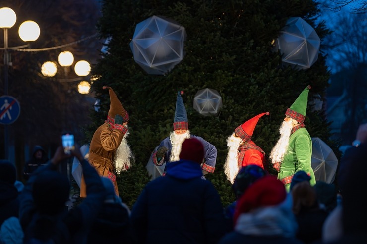 Jūrmala ir izgreznota Ziemassvētkiem – Jomas ielā iedegta galvenā pilsētas egle. Foto: Artis Veigurs 382621