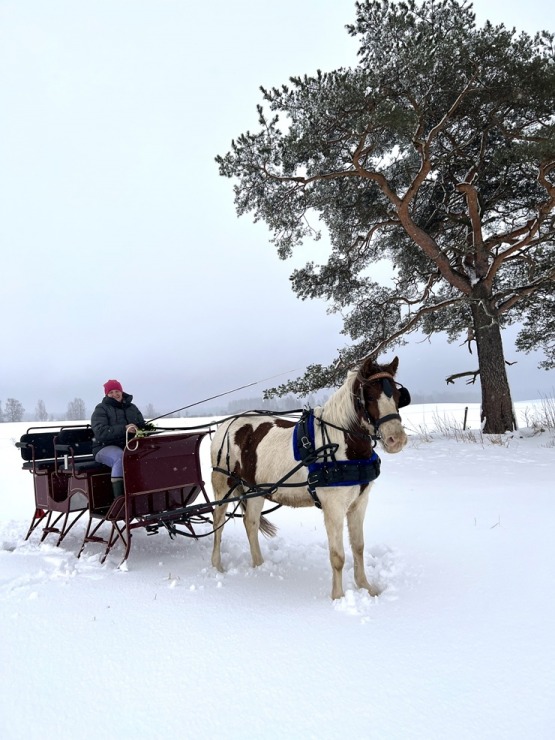 Visit Balvi aicina ciemos izbaudīt ziemas priekus 383986