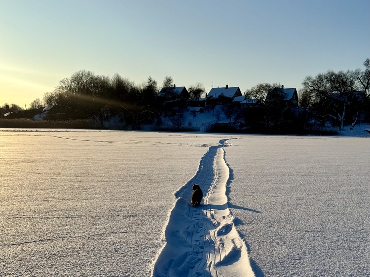 Kā dzīvo latgalieši Dagdā, kur šobrīd dziļākais sniegs Latvijā? - Krāslavas novads. Foto: Sintija Maļkeviča 386659