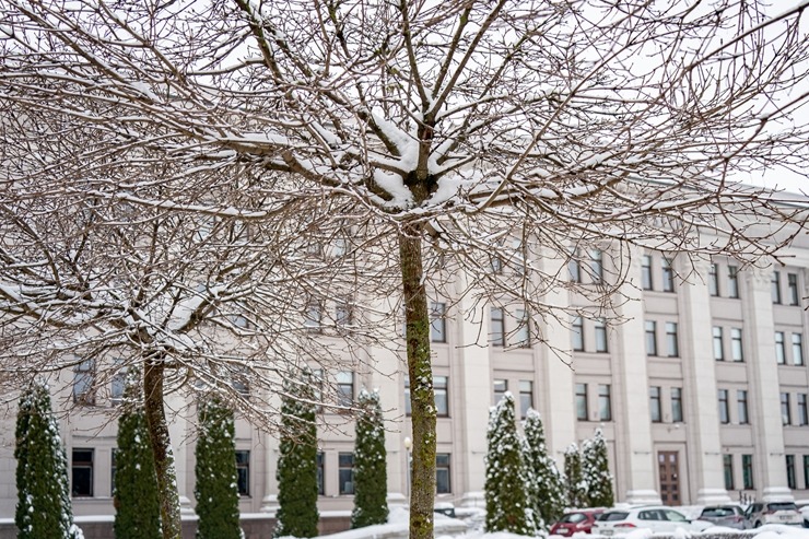 Daugavpils sūta ziemīgus sveicienus no aukstākās pilsētas Latvijā. Foto: Margarita Vigule 386757