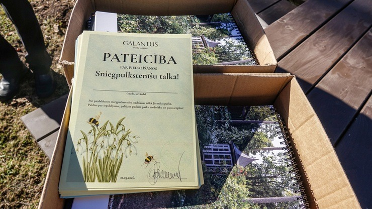 Jūrmalas parkā jau divpadsmito gadu pēc kārtas: Sniegpulkstenīšu stādīšanas talka 388820