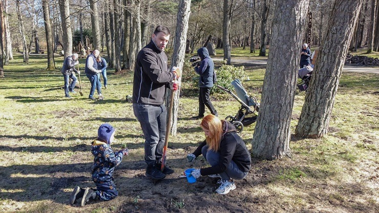 Jūrmalas parkā jau divpadsmito gadu pēc kārtas: Sniegpulkstenīšu stādīšanas talka 388823