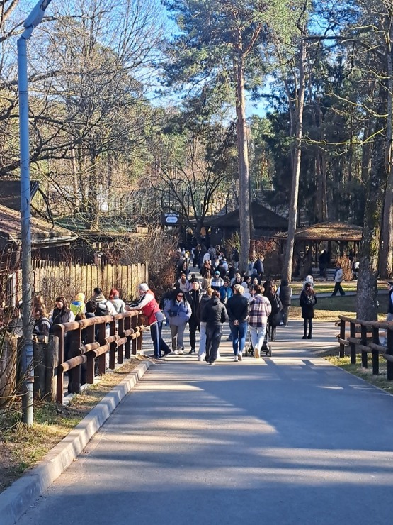 Rekordi krīt: Rīgas Zoo apmeklē rekordliels apmeklētāju skaits 389126