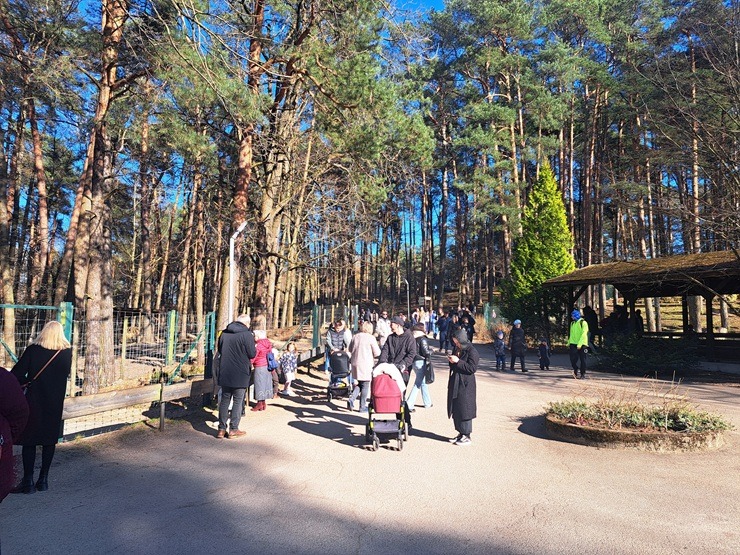 Rekordi krīt: Rīgas Zoo apmeklē rekordliels apmeklētāju skaits 389113