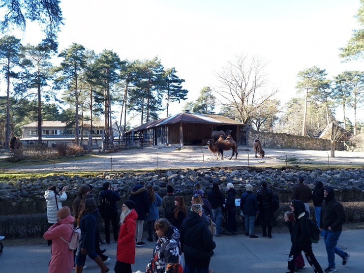 Rekordi krīt: Rīgas Zoo apmeklē rekordliels apmeklētāju skaits 389119