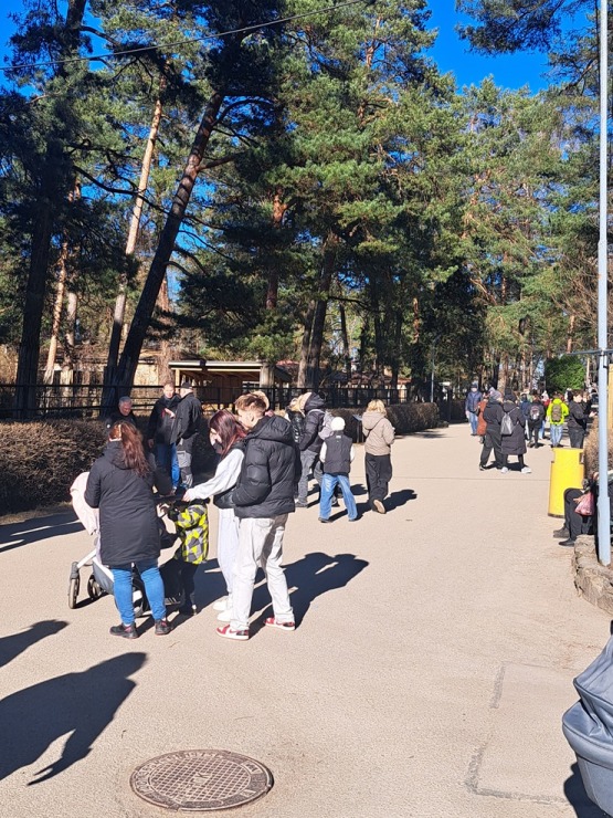 Rekordi krīt: Rīgas Zoo apmeklē rekordliels apmeklētāju skaits 389120