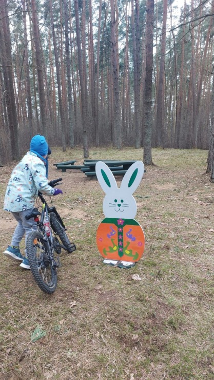 Salaspils novadā zaķu meklēšana jau kļuvusi par tradīciju 389463