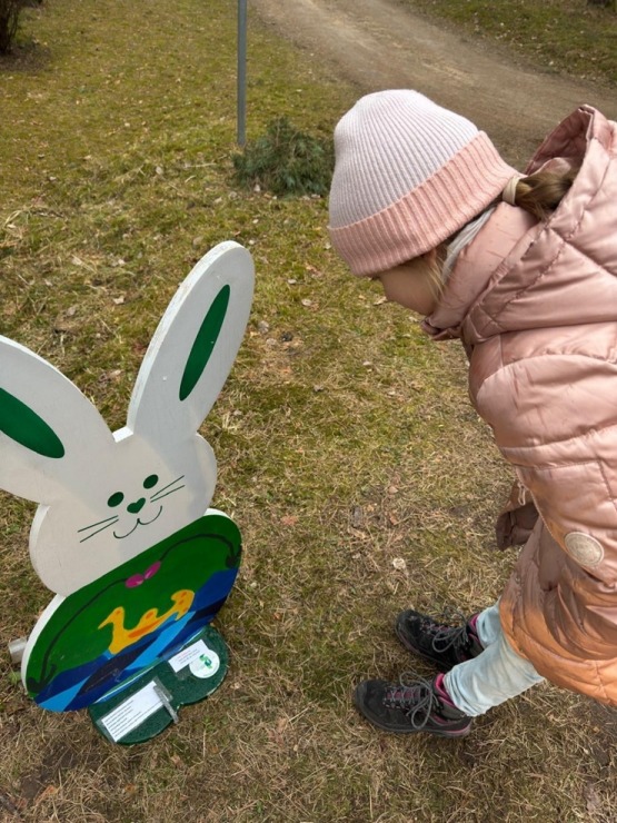 Salaspils novadā zaķu meklēšana jau kļuvusi par tradīciju 389460