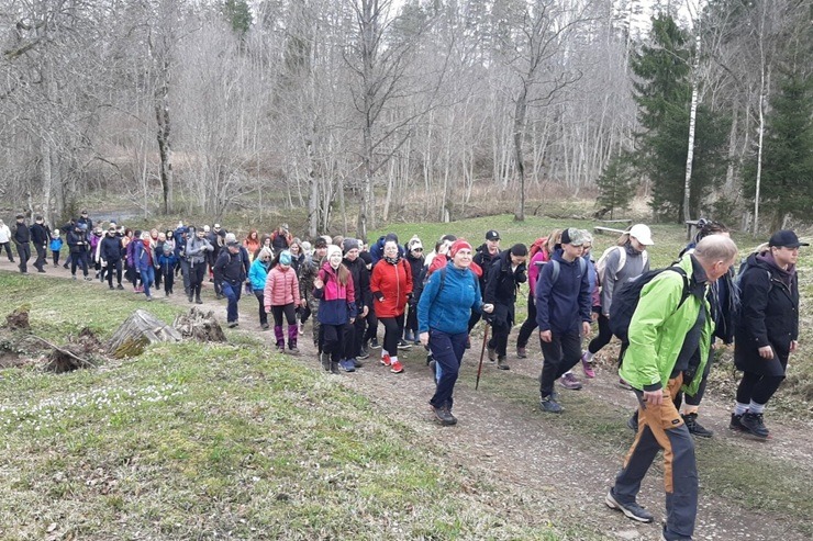 «Tebras pumpurs» iedvesmo laivotājus un pēdotājus 390238