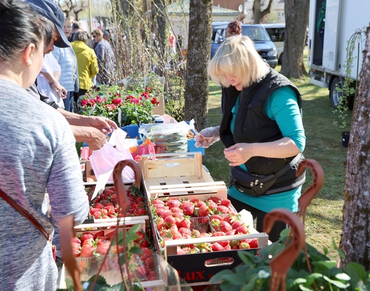 Sadarbībā ar auto nomu «SIXT Latvija» dodamies uz Dagdas tirgu - BMW X5 no 60 eiro dienā 391111