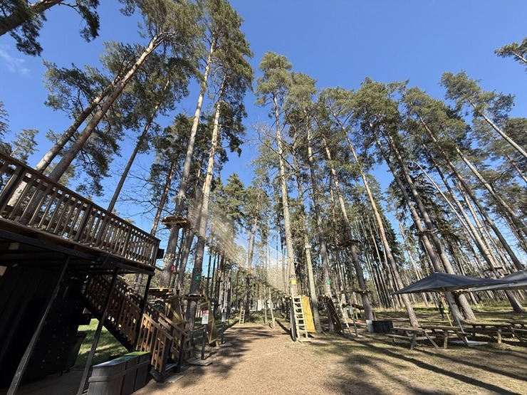 Dobeles novads: «Tērvetes tīklu parks» un «Tarzāns» atsāk darbu 391374