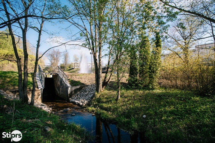 Madonai pavasaris patiešām piestāv 391530