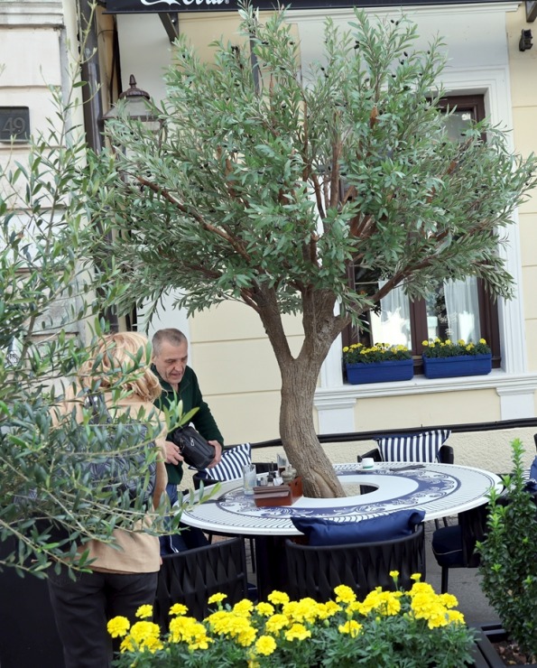 Sadarbībā ar «airBaltic» publicējam Serbijas foto momentus no dažādiem skatu punktiem 394076