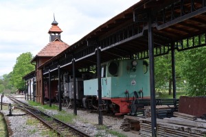 31