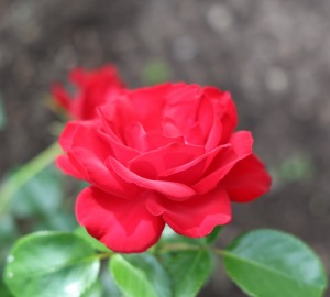 27