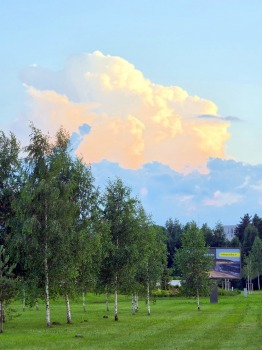 28
