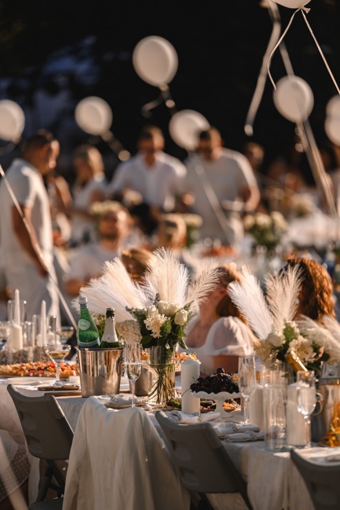 «White Sense Picnic» šogad atklāja Uzvaras parku jaunā gaismā 395761