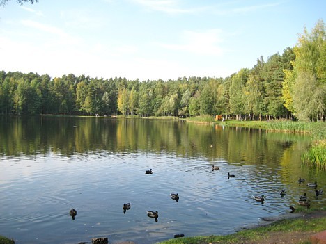 Dambjapurva ezers, kura platība ir 1,7 ha un maksimālais dziļums 3 metri, ir vieta mierīgai pastaigai un atpūtai pie ūdens 18830