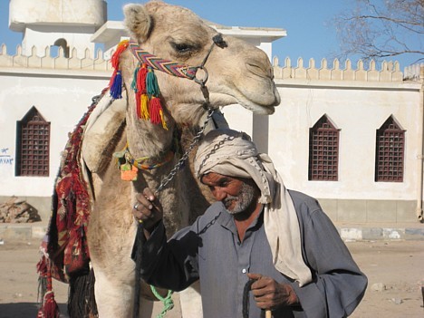 Beduīni ar saviem kamieļiem visbiežāk ir redzami piedāvājot nofotogrāfēties kopā ar viņu dzīvniekiem 19476