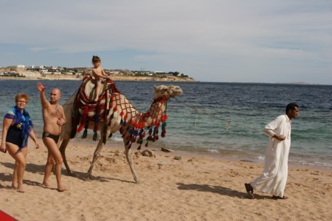 Pastaiga ar kamieļiem pa pludmali 19637