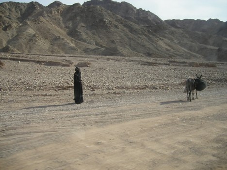 Beduīns 19812