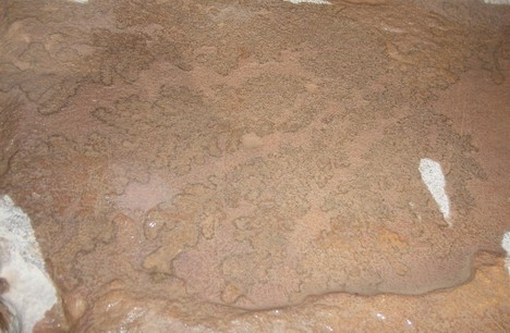 Samitrinot kanjona sienas, uz akmeņiem var redzēt seno augu siluetus 19837