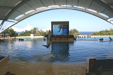 Savuārt pasaulē lielākajā (1 200 000 litru tilpuma) delfinārijā var vērot dresētu delfīnu un jūras lauvu priekšnesumus. Milzīgajā akvārijā ir savāktas 19852