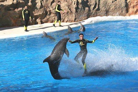 Cirka mākslinieks pārvietojas uz 2 delfīnu purniem un trešais atmuguriski skrien pa priekšu 19856