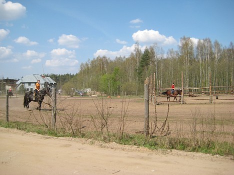 Apmeklētājiem tiek piedāvāta jāšanas apmacība, izjādes apvidū, došanās uz pikniku zirga mugurā, trīs dienu pārgājieni, vizināšanās ar pajūgu vai kaman 22074