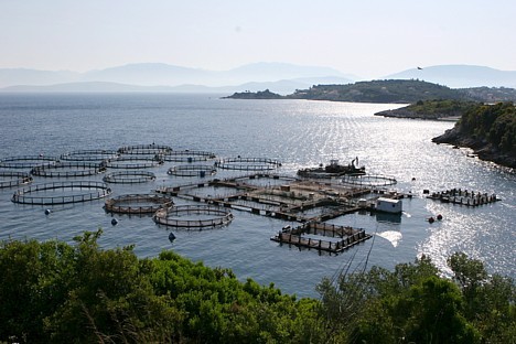 Zivju audzētava atklātā jūrā. Sīkāka informācija par ceļojumu iespējām uz Korfu: www.teztour.lv 22185