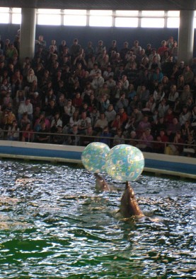 Kopā ar delfīniem šeit mitinās arī Kalifornijas jūras lauvas Lija un Henris (1996. gadā atceļoja no Vācijas Duisborgas zoologiskā dārza), kā arī mazul 22484