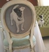 Uz restorāna krēsliem un originālā veidā suns - Šiko 6