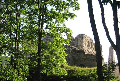 Kokneses pilsdrupas atrodas Daugavas un Pērses satekas vietā un ir viens no unikālākajiem un populārākajiem kultūrvēsturiskajiem objektiem Latvijā 26138