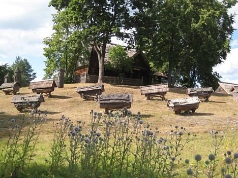 Biškopības muzejs atrodas Lietuvā, Ignalinas tuvumā 26341