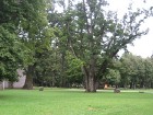 Muzeja parks ar veciem kokiem un brīvdabas ekspozīciju. Muzeja parks ir ne tikai vietējo iedzīvotāju iemīļota vieta, bet arī iecienīta tūristu apskate 18
