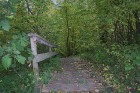 Koka kāpnes, kas aizved līdz Ventas upei 12