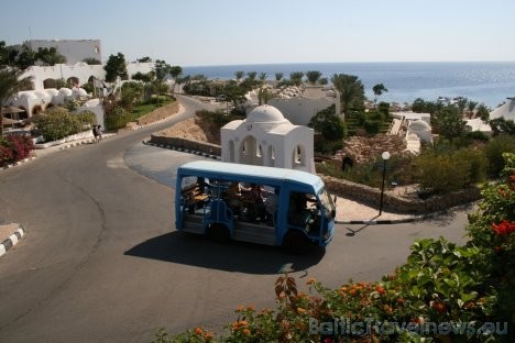 Domina Coral Bay teritorijā var pārvietoties ar nelielajiem Taf Taf autobusiņiem 29238