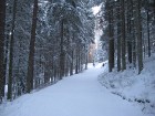 Zinām, ka šis gads nebūs tāds kā visi līdz šim, taču mēs esam uzņēmības un enerģijas pilni, lai uzsāktu braucienu kalnā! Sūtiet mums konstruktīvu krit 19