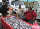 Iespaidīgie brāļi - zvejnieki, kuri savu preci pārdod gan svaigā veidā, gan... 12