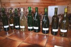 Piedāvājumā vairāku šķirņu mājas vīna degustācijas, tai skaitā ozollapu, gurķu, upeņu, bērzu sulu un citi vīni 17
