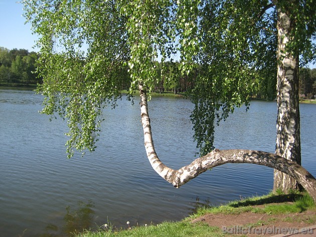 Muzejas atrodas līdzās esošajam Druskonio ezeram 33484