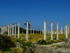 Antīkās romiešu pilsētas drupas – Salamis 8