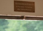 Vagoniņā, kas uzved 1614 metrus augstajā Predigtštūls ( Predigtstuhl ) kalnā, var ietipināt 25 pasažierus un dažu minūšu laikā tūrists ir nogādāts uz  3